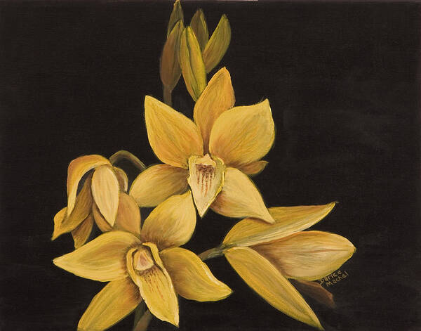 Hawaiian Flower Poster featuring the painting Yellow Orchid by Darice Machel McGuire