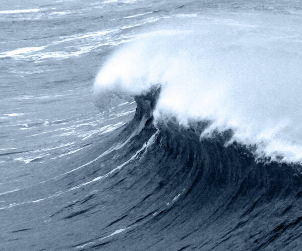 Wind Poster featuring the photograph Zen Wave In Stormy Weather by Scott Lenhart