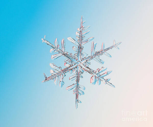 Snow Poster featuring the photograph Snowflake #61 by Ted Kinsman