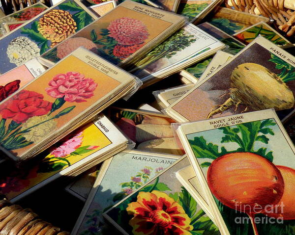 Antique Seed Packs Poster featuring the photograph Antique French Seed Packs by Lainie Wrightson