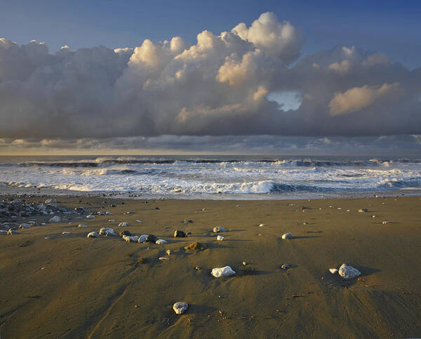 00176966 Poster featuring the photograph Beach And Waves Corcovado National Park by Tim Fitzharris