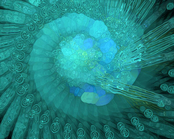 Digital Art Poster featuring the digital art Blue Spiral by Amanda Moore