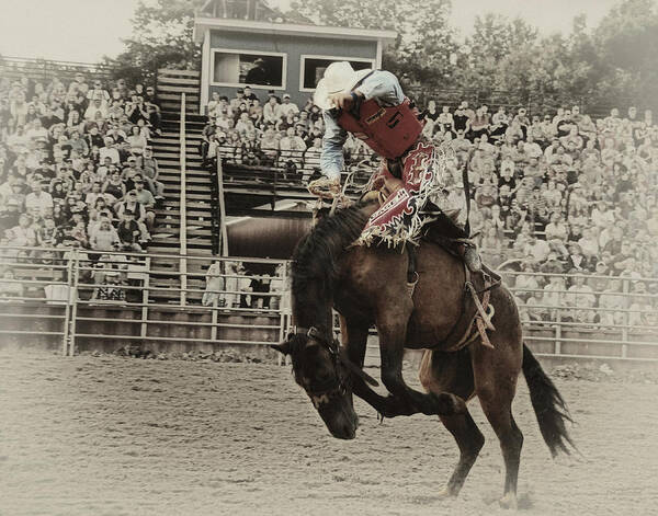 Bucking Horse Poster featuring the photograph Bucking Bronco by Peg Runyan
