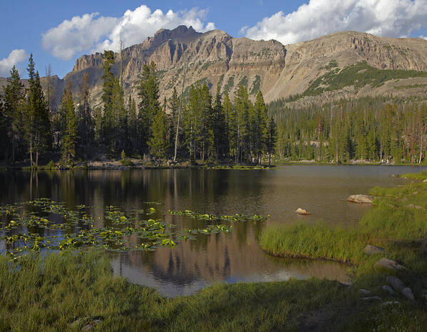 00437815 Poster featuring the photograph Butterfly Lake Uinta Range Utah by Tim Fitzharris