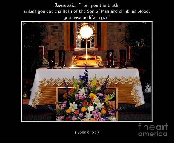 John 6: 53 Poster featuring the photograph Eucharist Unless you eat the flesh by Rose Santuci-Sofranko