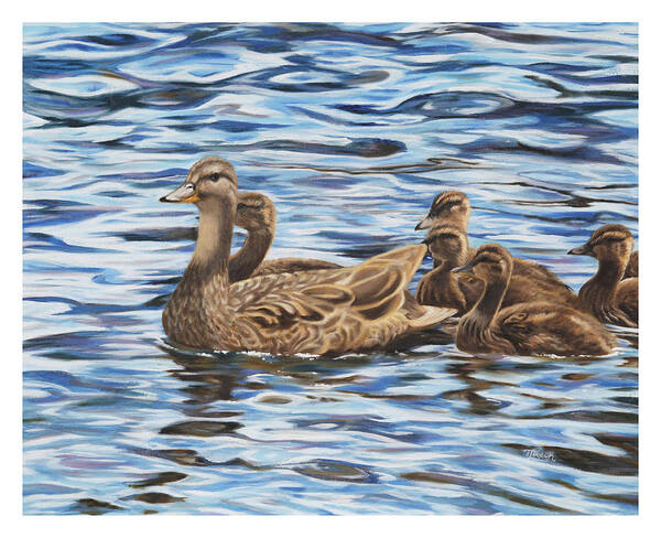 Mallard Ducks Poster featuring the painting Family Outing by Tammy Taylor