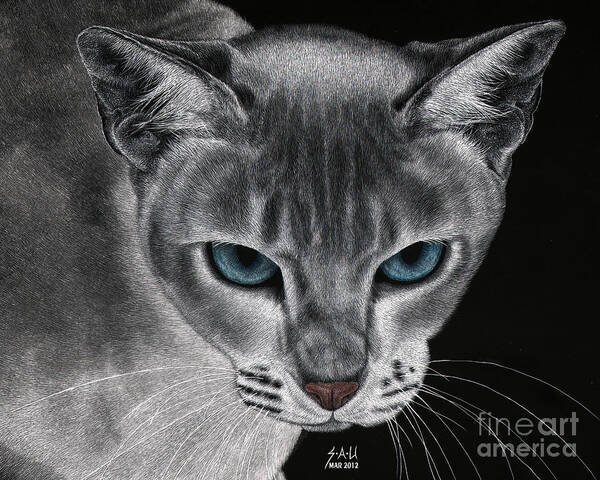 Siemese Poster featuring the drawing Flame Point Siemese Cat by Sheryl Unwin