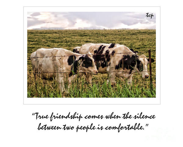 Silence Poster featuring the photograph Friendship by Traci Cottingham