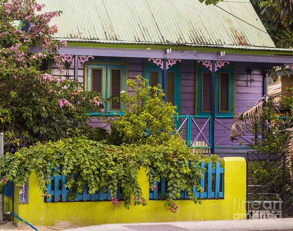 Bvi Poster featuring the photograph House of Colors by Rene Triay FineArt Photos