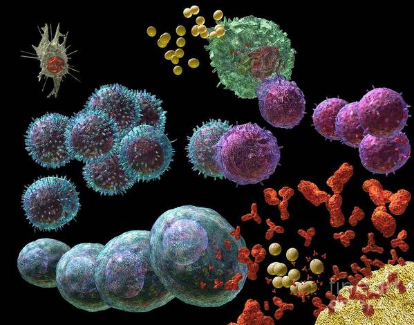 Antibodies Poster featuring the digital art Immune Response Antibody 2 by Russell Kightley