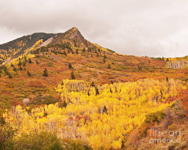 Photograph Poster featuring the photograph La Sal Autumn II by Bob and Nancy Kendrick