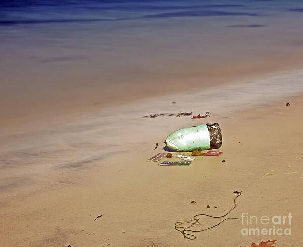 Long Exposure Poster featuring the photograph Lone Remnants of Life by Brenda Giasson