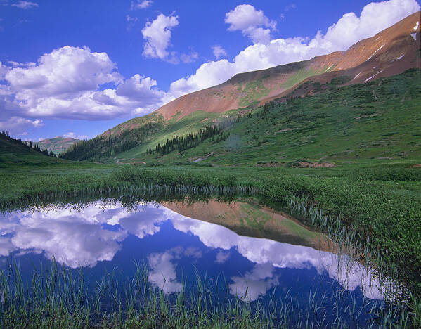 00175859 Poster featuring the photograph Mount Baldy And Elk Mountains Colorado by Tim Fitzharris