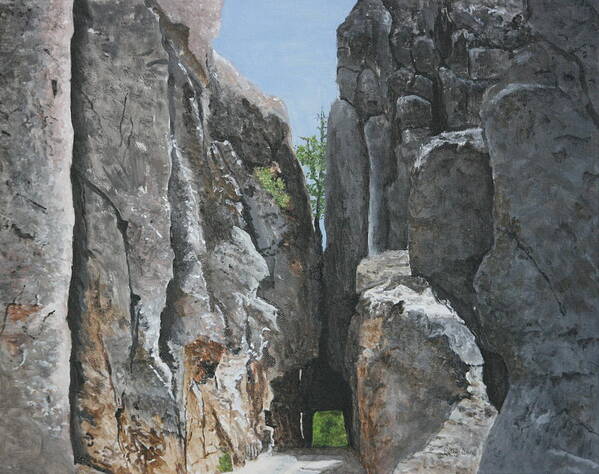 South Dakota Poster featuring the painting Needles Highway by Betty-Anne McDonald