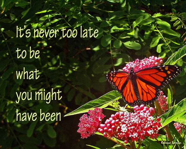 Butterfly Poster featuring the photograph Never Too Late by Rebecca Samler