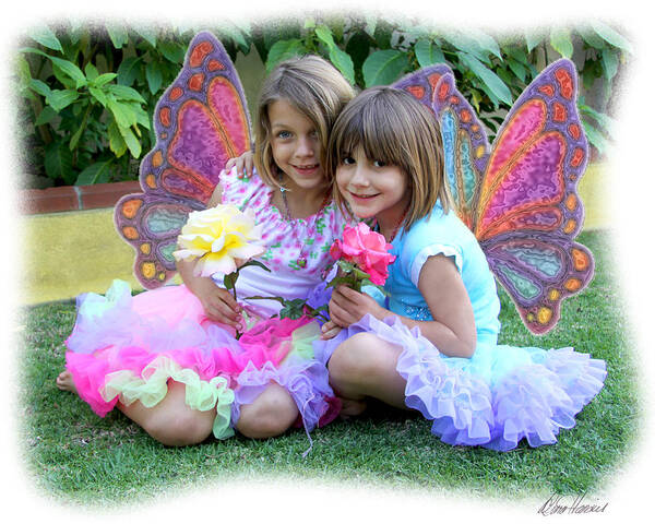 Fairy Poster featuring the photograph Rose Faeries by Diana Haronis