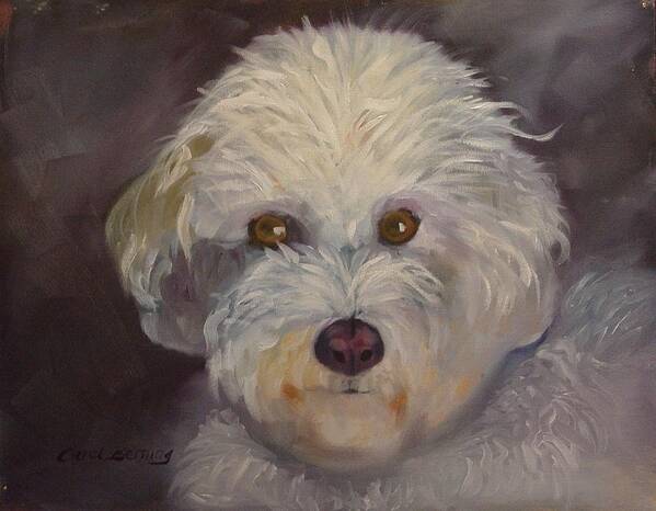 Bichon Frise Poster featuring the painting Sadie by Carol Berning