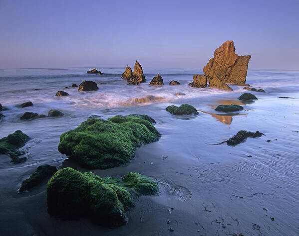 00175767 Poster featuring the photograph Seastacks On El Matador State Beach by Tim Fitzharris