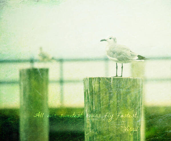 Beach Poster featuring the photograph Sweetest Hours by Robin Dickinson