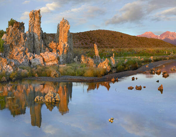 00486979 Poster featuring the photograph Tufa At Mono Lake Sierra Nevada by Tim Fitzharris