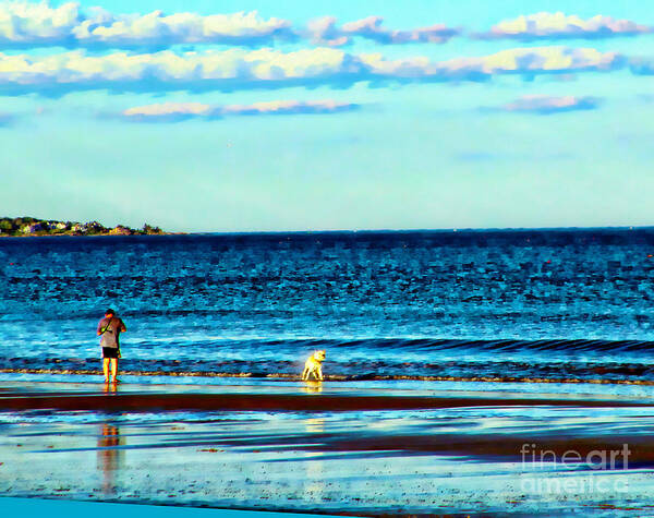 Beach Poster featuring the photograph Water Dog from Dog Park Beach Series by Alene Sirott-Cope