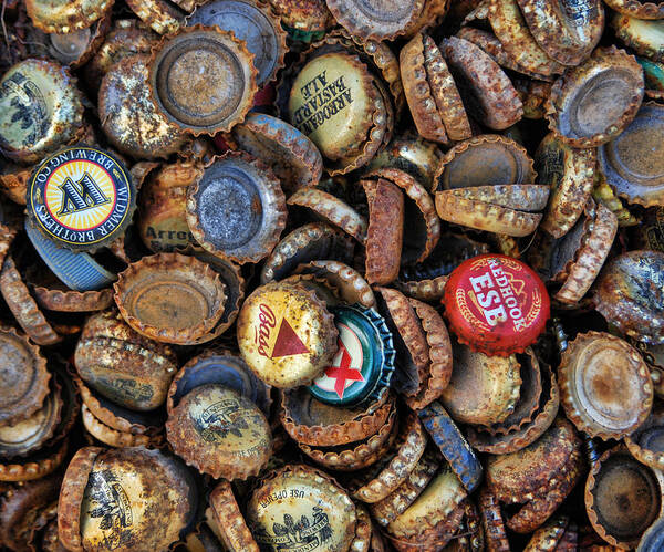 Beer Bottle Caps Poster featuring the photograph Who's Counting by Norma Warden