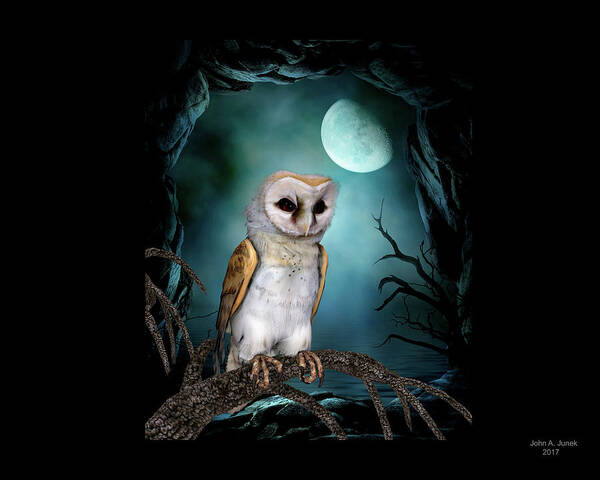 Barn Owl Poster featuring the digital art Barn Owl #1 by John Junek