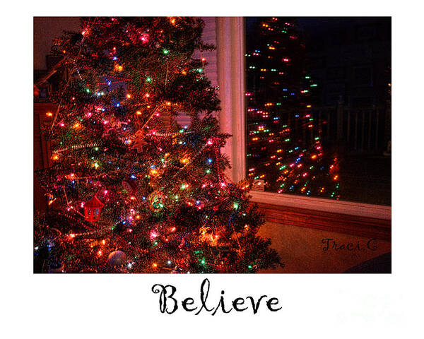 Christmas Poster featuring the photograph Believe #1 by Traci Cottingham