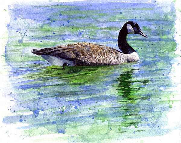 Bird Poster featuring the painting Canada Goose by John D Benson