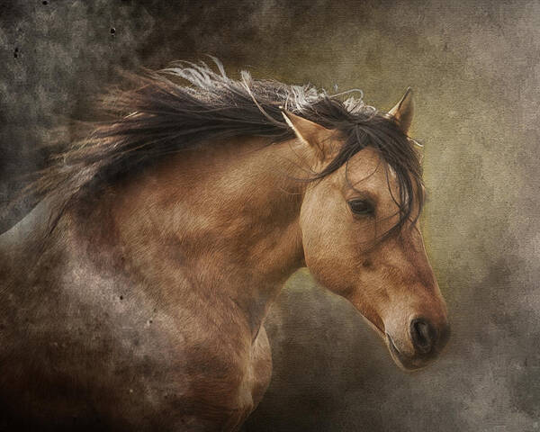 Equine Poster featuring the photograph Chase the Wind #1 by Ron McGinnis