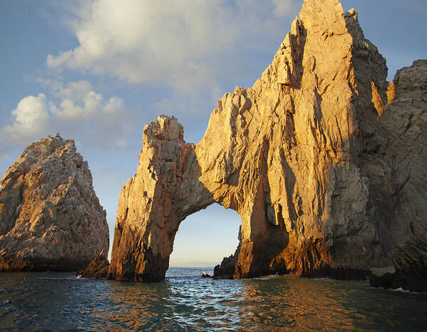 00441444 Poster featuring the photograph El Arco And Sea Stacks Cabo San Lucas #1 by Tim Fitzharris