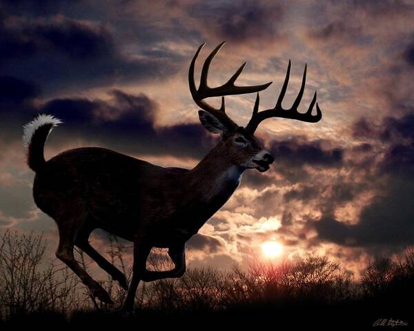 Whitetail Deer Poster featuring the digital art On The Run #1 by Bill Stephens