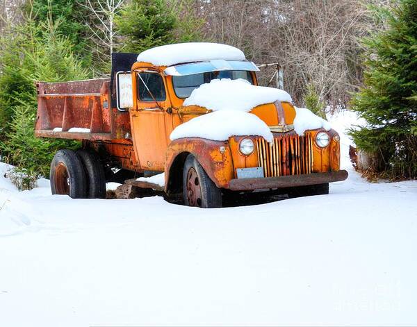 Minnesota Poster featuring the photograph 1946 Ford Dump Truck by Steve Brown