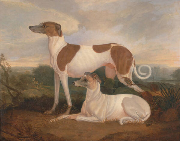 Charles Hancock Poster featuring the painting Two Greyhounds in a Landscape #2 by Celestial Images