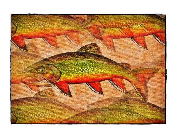 Fish Poster featuring the digital art A Trout Lovers Dream by Terry Mulligan