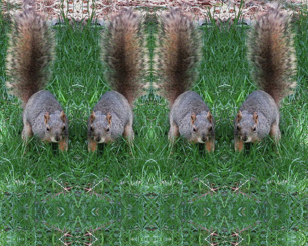 Squirrels Poster featuring the digital art Advancing Army of Squirrels by Julia L Wright