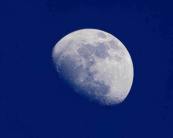 Moon Poster featuring the photograph Afternoon Moon by Greg Norrell