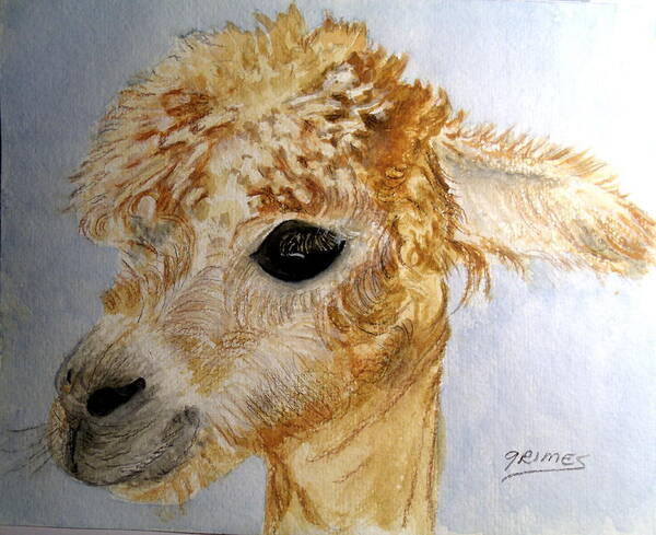 Alpaca Poster featuring the painting Alpaca Cutie by Carol Grimes