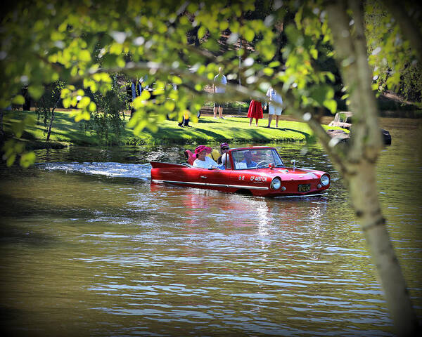 Amphicar Poster featuring the photograph Amphicar Swimming by Steve Natale
