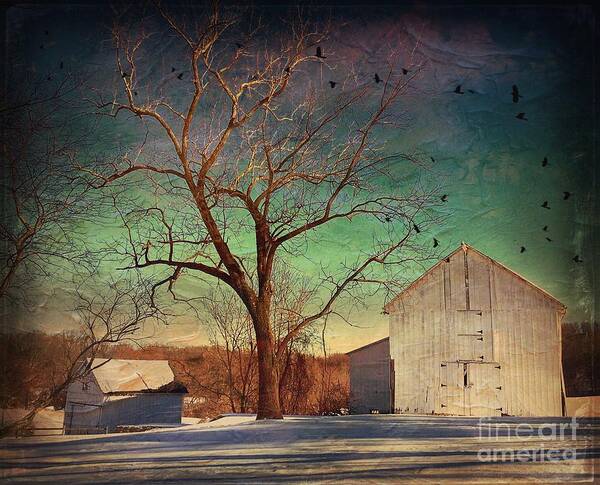 Winter Prints Poster featuring the photograph Another winter day by Delona Seserman