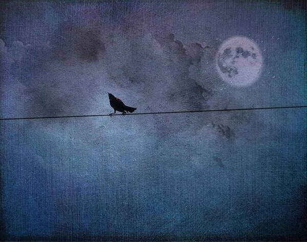Birds Poster featuring the photograph Ask Me For The Moon by Jan Amiss Photography