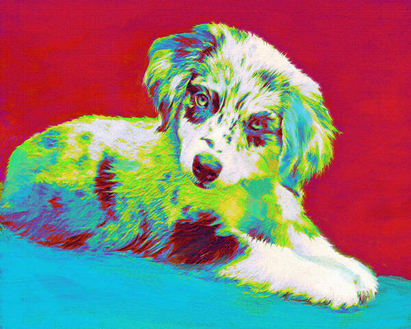 Aussie Poster featuring the digital art Aussie Puppy by Jane Schnetlage