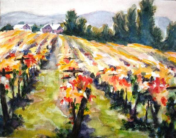 Landscape Poster featuring the painting Autumn Vineyards by John West