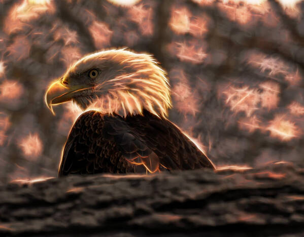 Bald Eagle Poster featuring the digital art Bald Eagle Electrified by Flees Photos