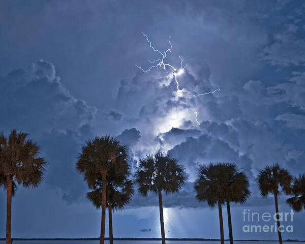 Lightning Poster featuring the photograph Balmy Lightning Night by Stephen Whalen