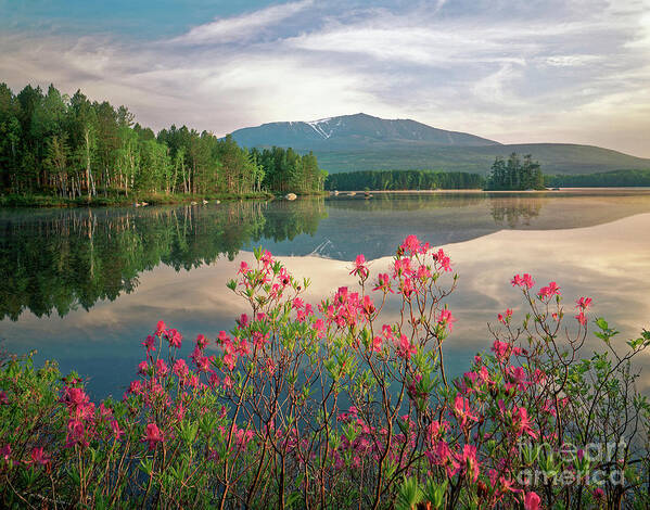 Mt Katahdin Poster featuring the photograph Mt. Katahdin in the Spring by Kevin Shields