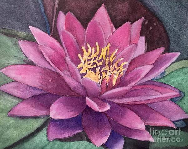 Flower Poster featuring the painting Beautiful Water Lily by Sue Carmony