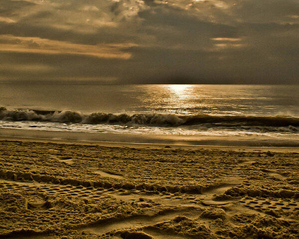 Sand Poster featuring the photograph Beauty Of A Day by Trish Tritz