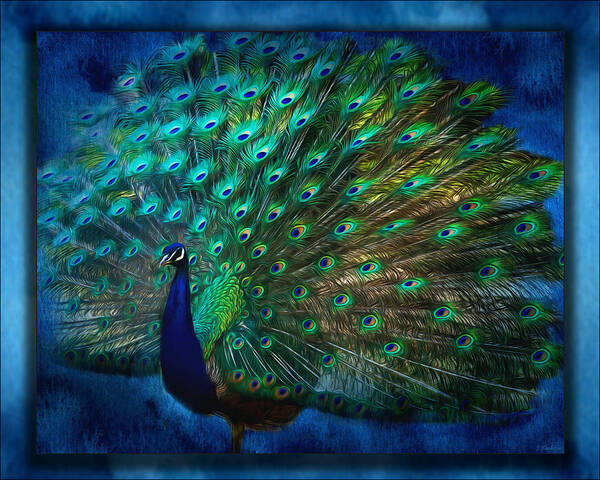 Being Yourself Poster featuring the painting Being Yourself - Peacock Art by Jordan Blackstone