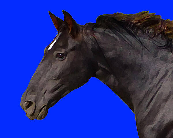 Black Horse Poster featuring the digital art Black Horse Spirit Blue by Jana Russon